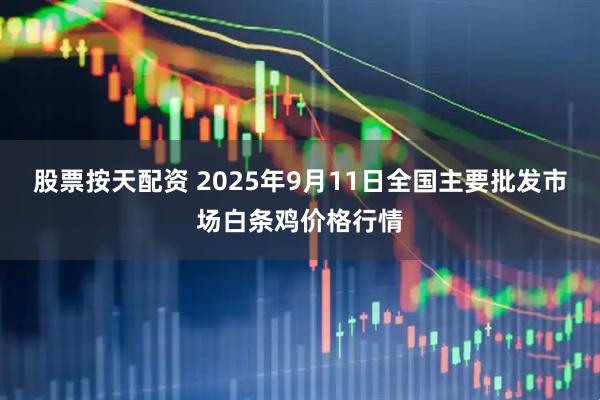 股票按天配资 2025年9月11日全国主要批发市场白条鸡价格行情