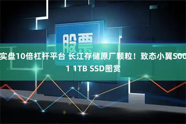 实盘10倍杠杆平台 长江存储原厂颗粒！致态小翼S001 1TB SSD图赏