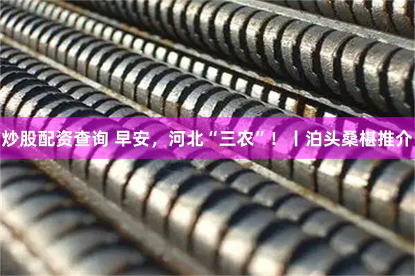 炒股配资查询 早安，河北“三农”！丨泊头桑椹推介